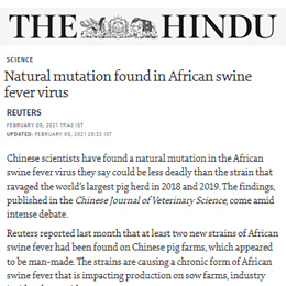Natural mutation found in African swine fever virus