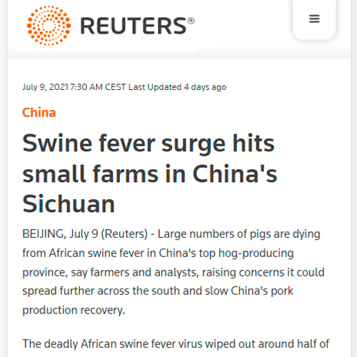 Swine fever surge hits small farms in China's Sichuan
