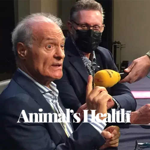 Animals Health